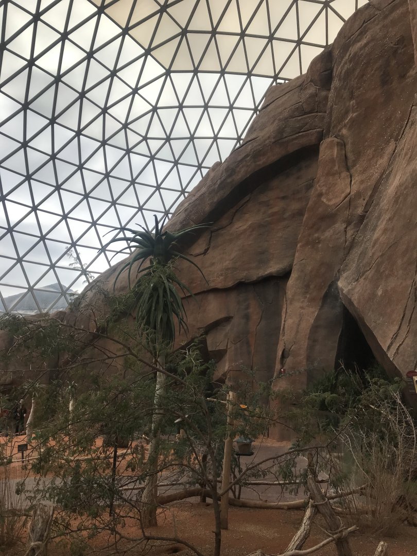 Desert Dome - Namib Desert Scenery