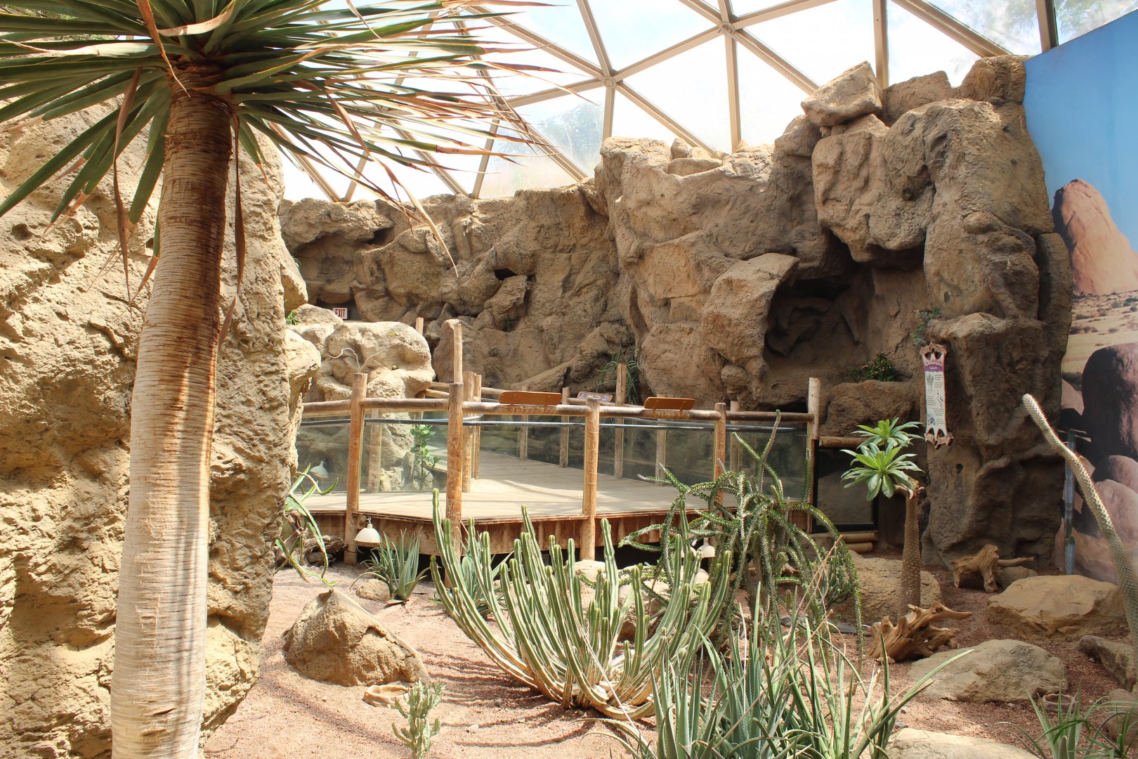 Desert Dome Overview
