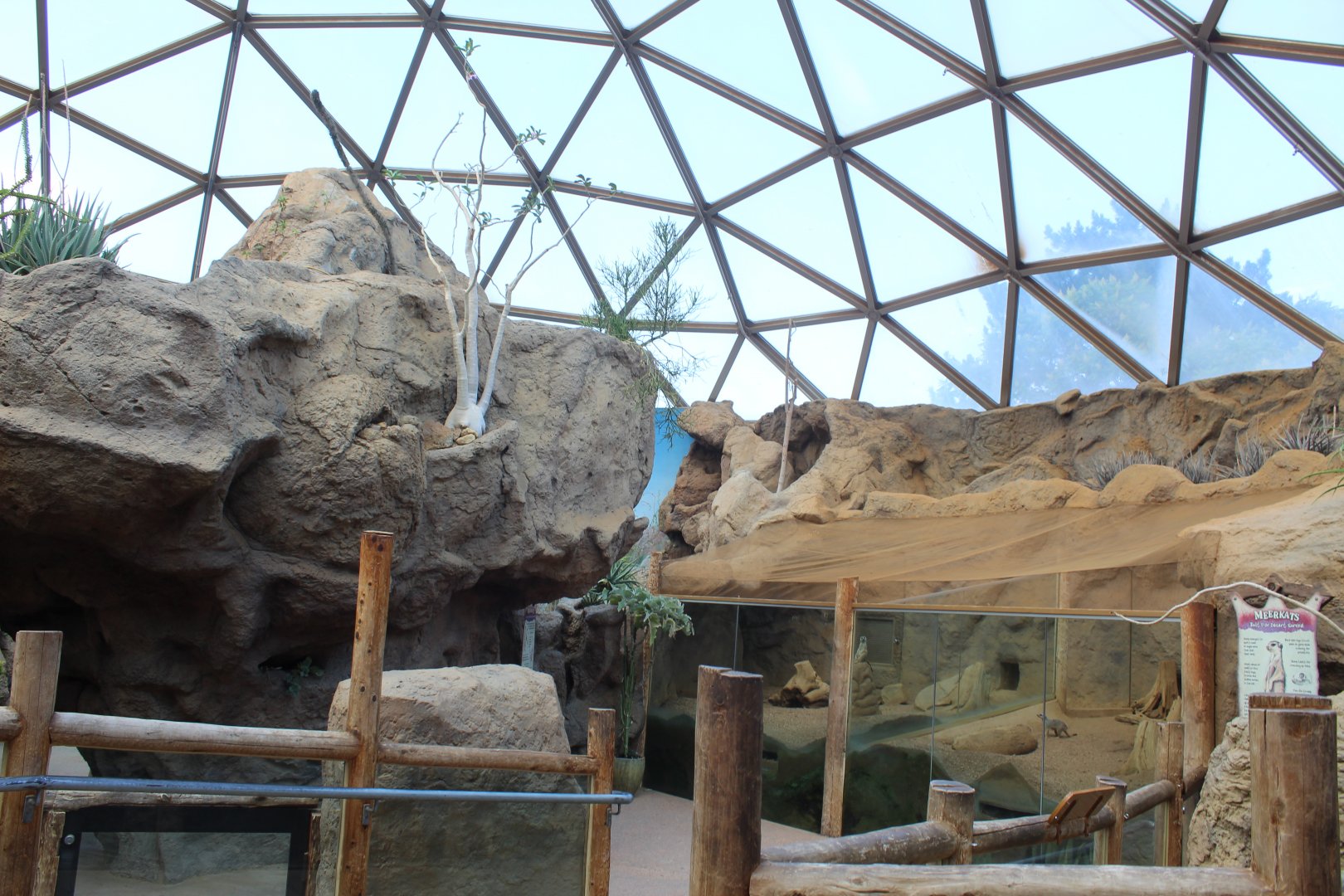 Desert Dome Overview