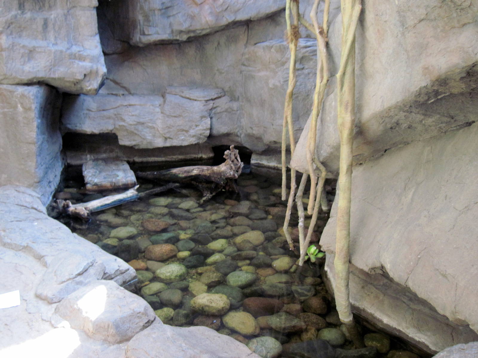 Desert Dome-Pond