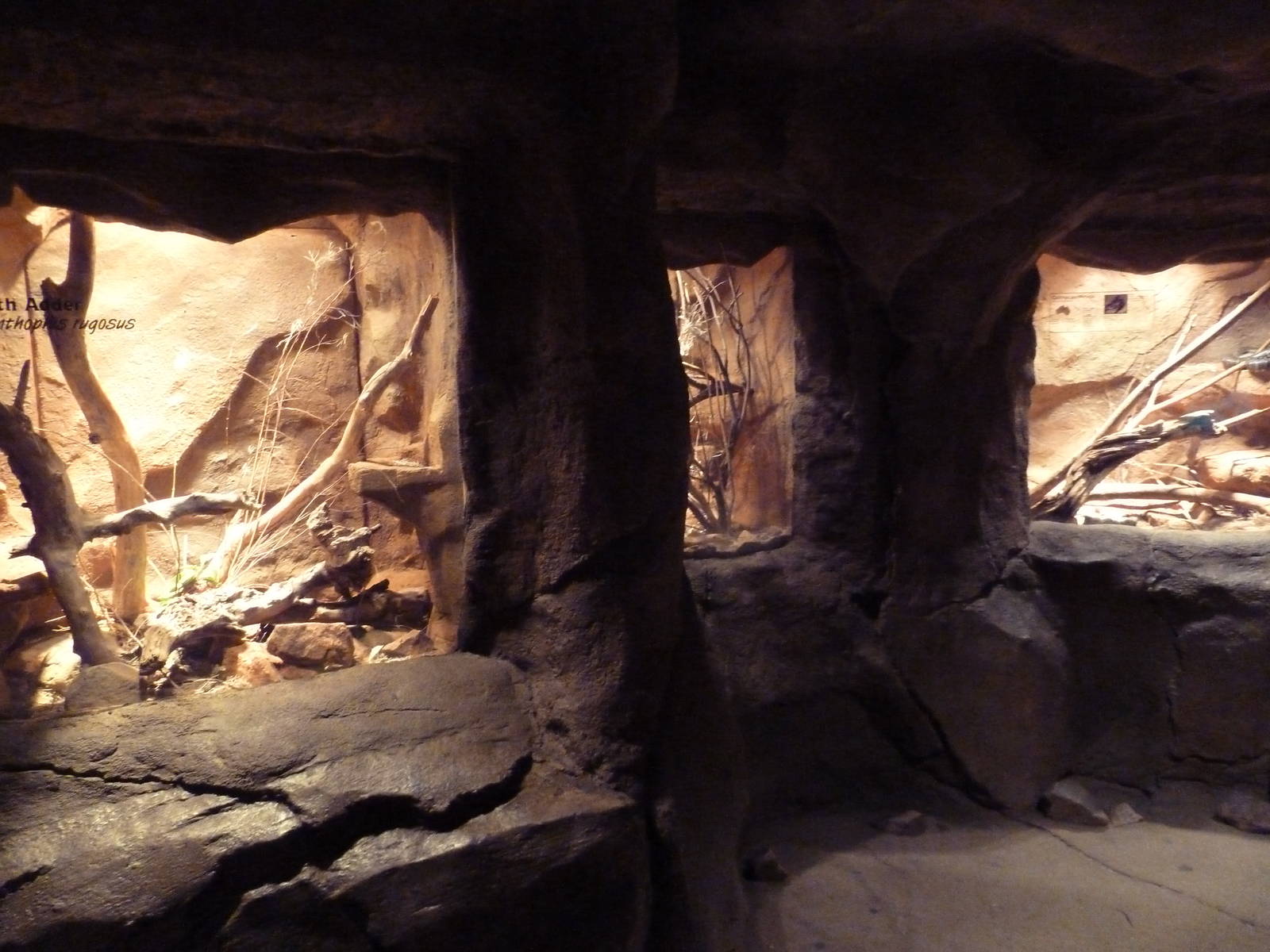 Desert Dome - Reptile Terrariums