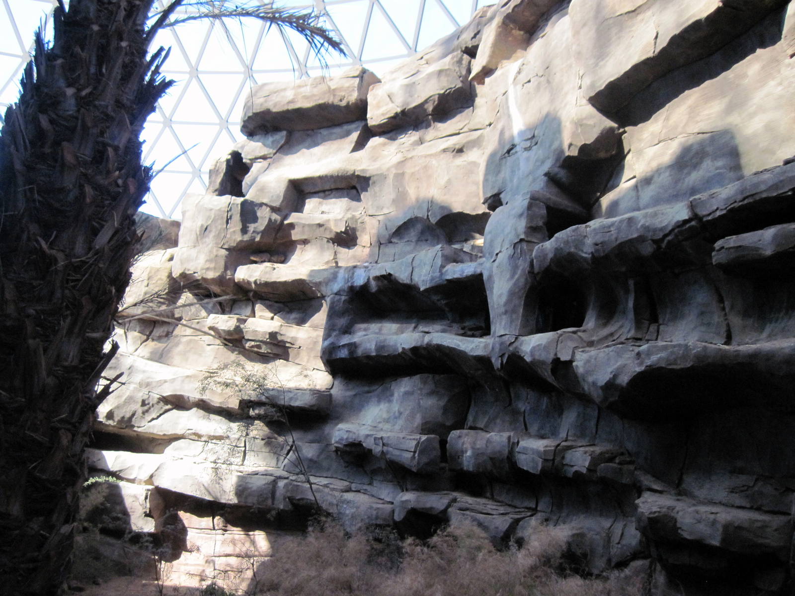 Desert Dome-Rock Hyrax Exhibit