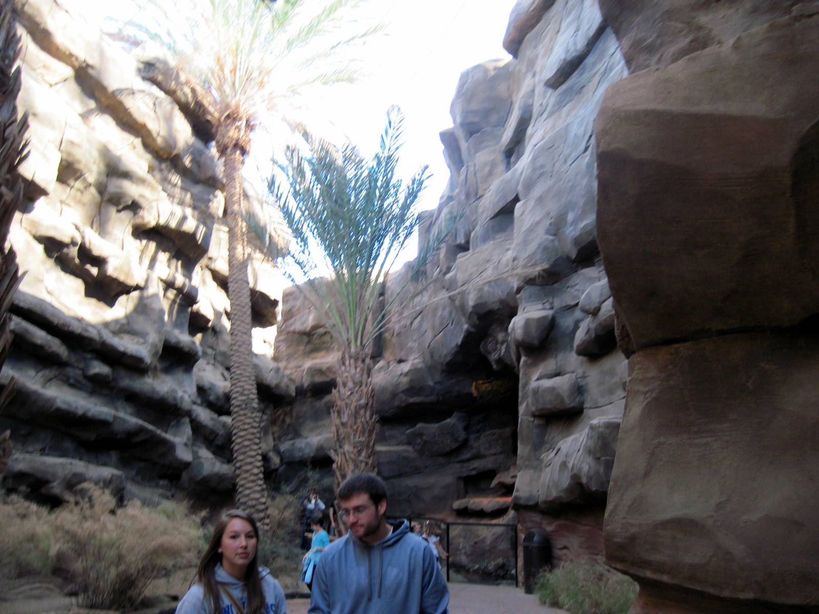 Desert Dome-Rock Hyrax Exhibit