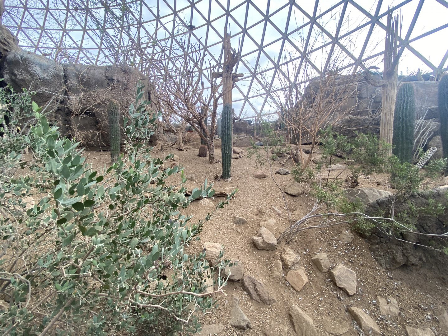 Desert Dome - Scenery