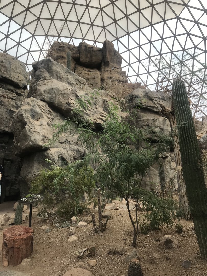 Desert Dome - Sonoran Desert Scenery