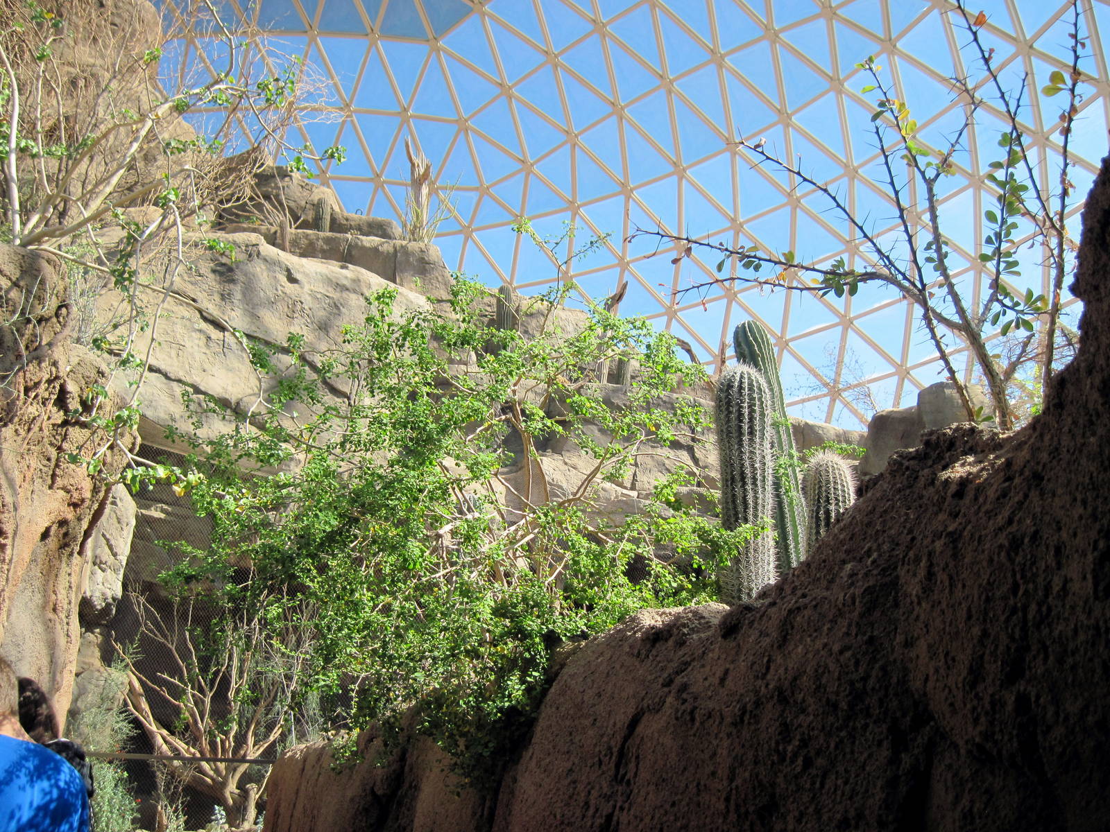 Desert Dome-Sonoran Desert