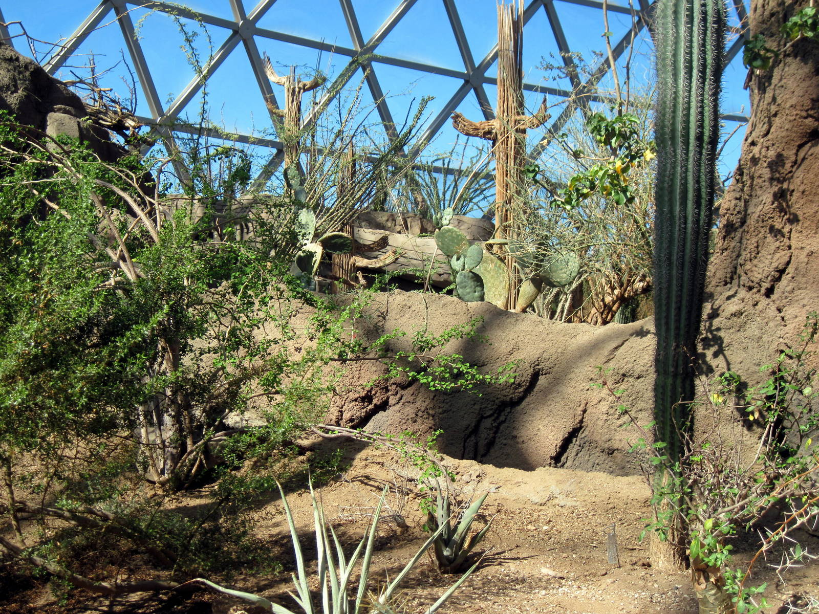 Desert Dome-Sonoran Desert