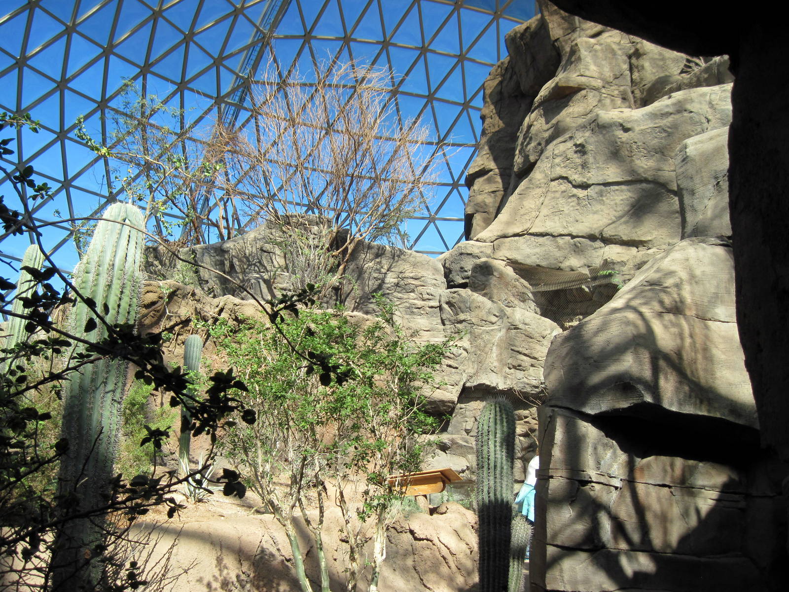 Desert Dome-Sonoran Desert