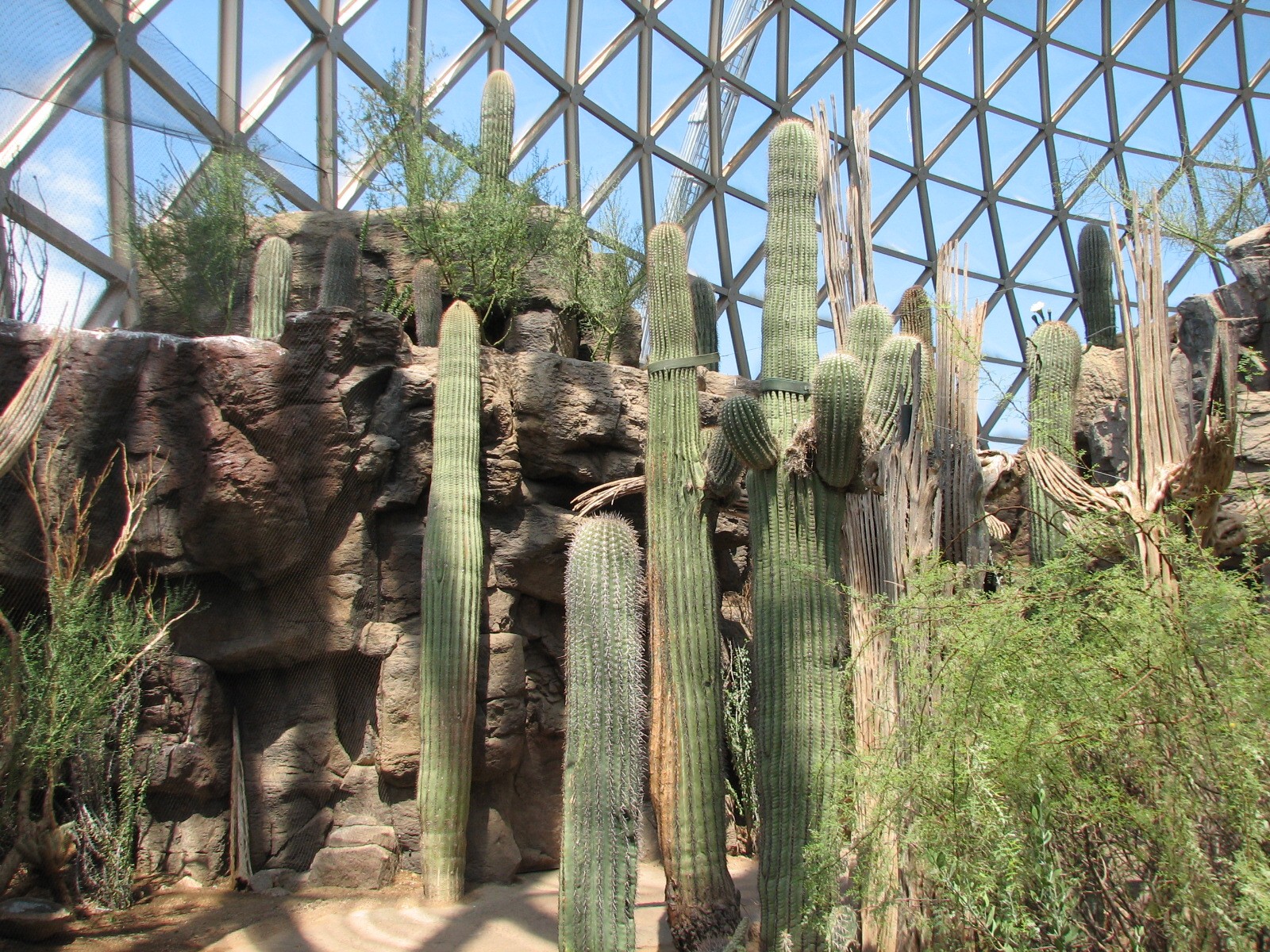 Desert Dome - Sonoran landscape