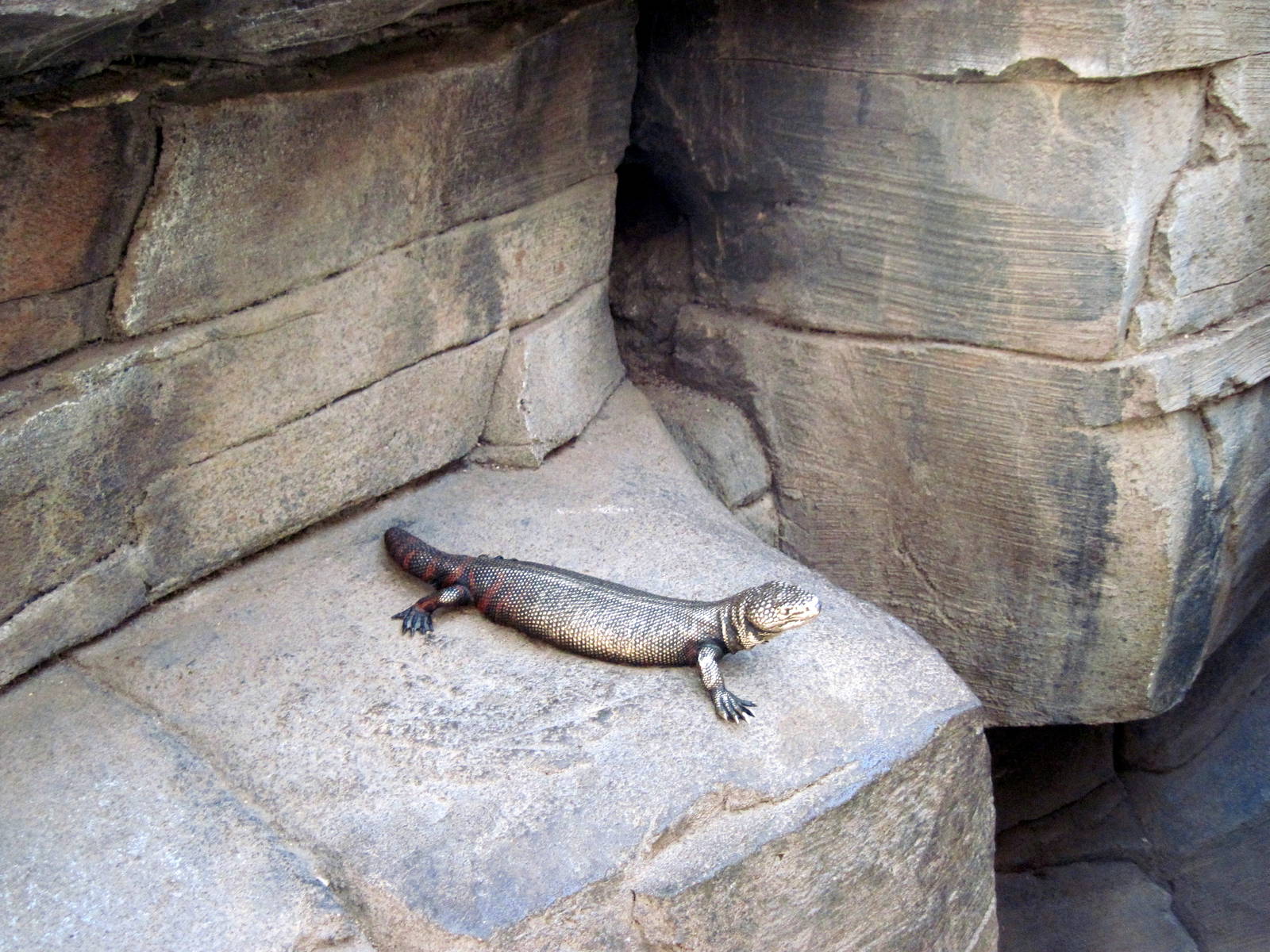 Desert Dome-Statuary