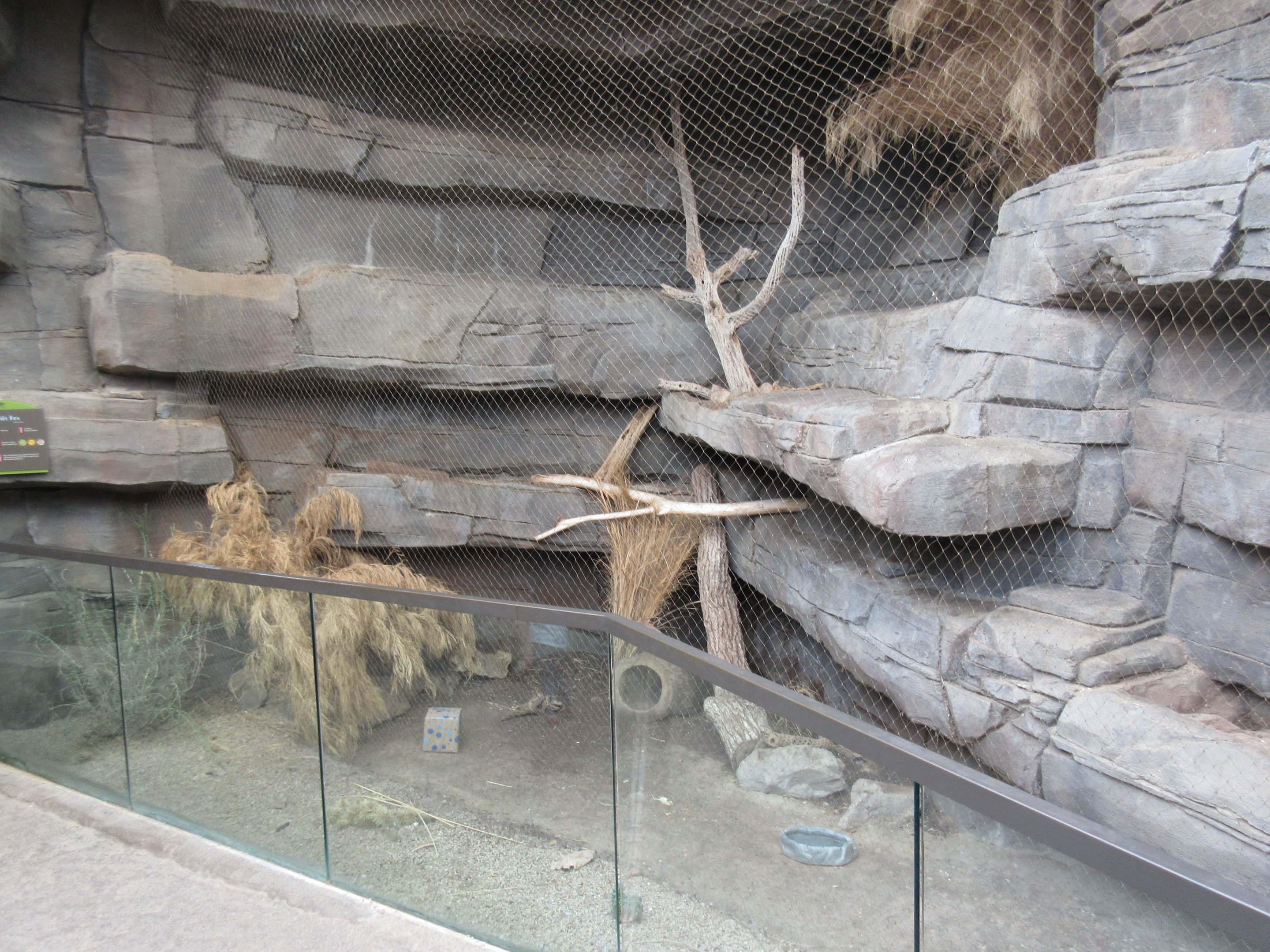Desert Dome - Swift Fox Exhibit