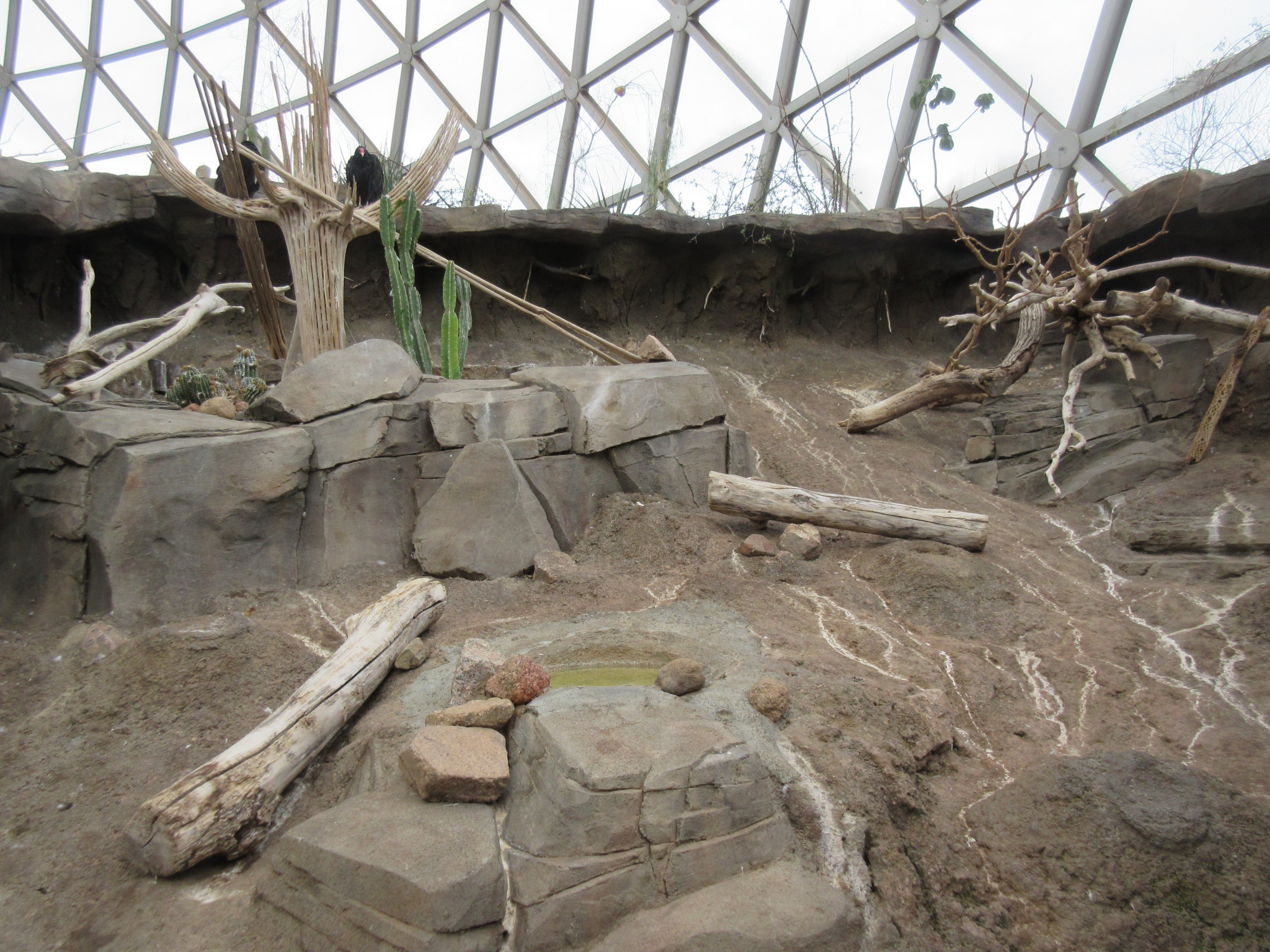 Desert Dome - Turkey Vulture Exhibit