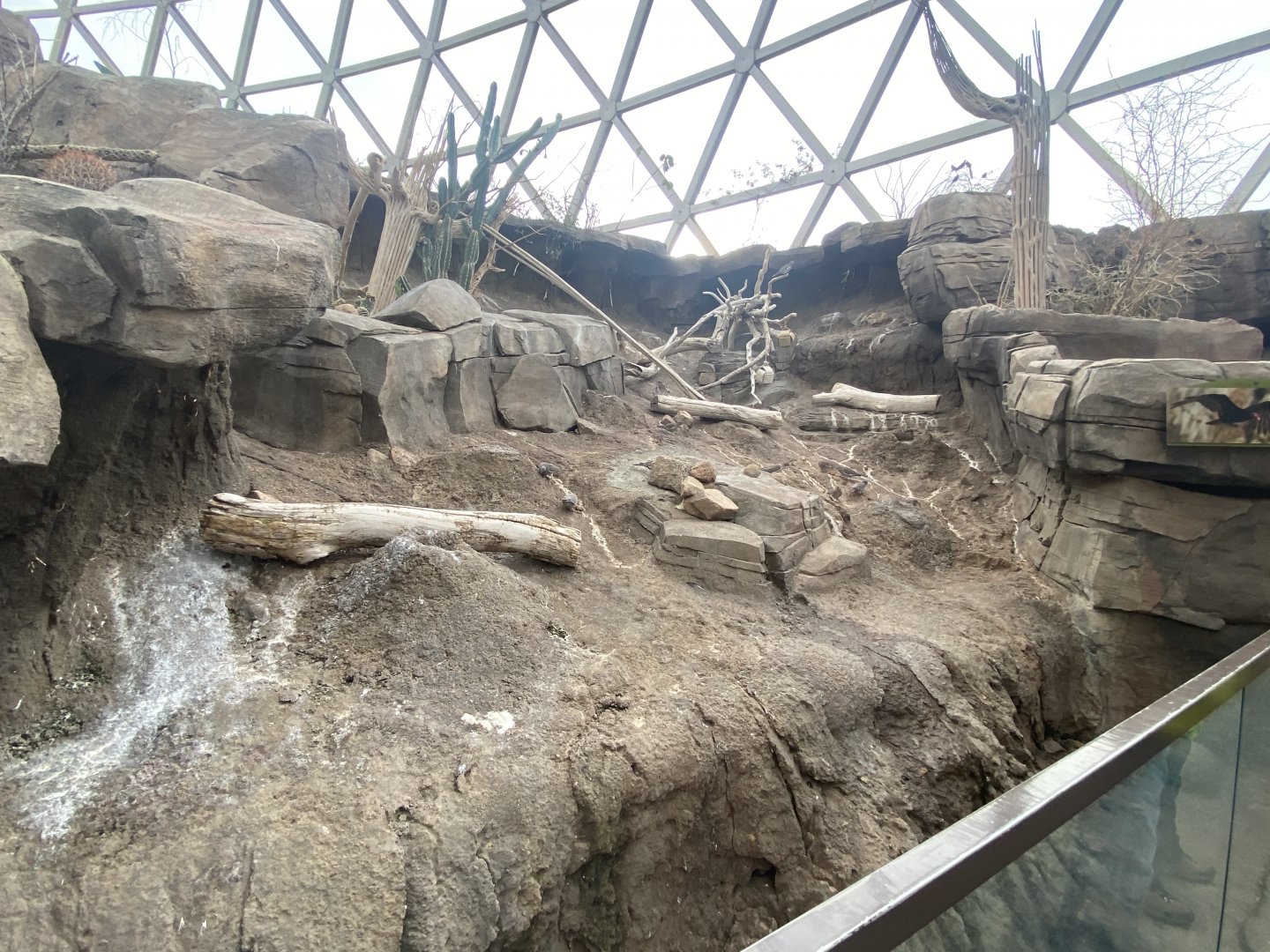 Desert Dome - Turkey Vulture Exhibit