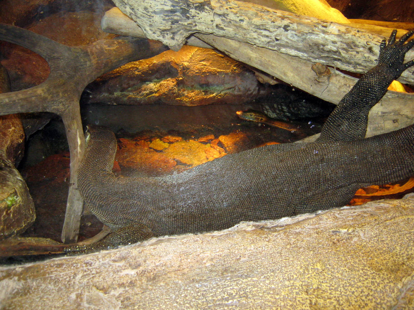 Desert Dome-Water Monitor