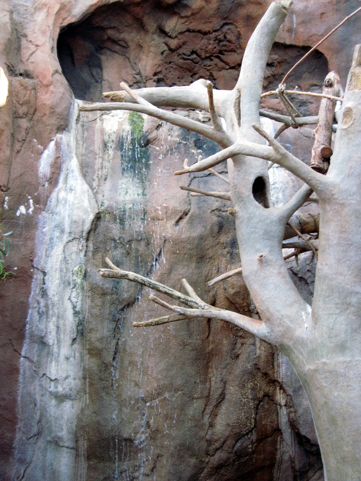 Desert Dome-Waterfall