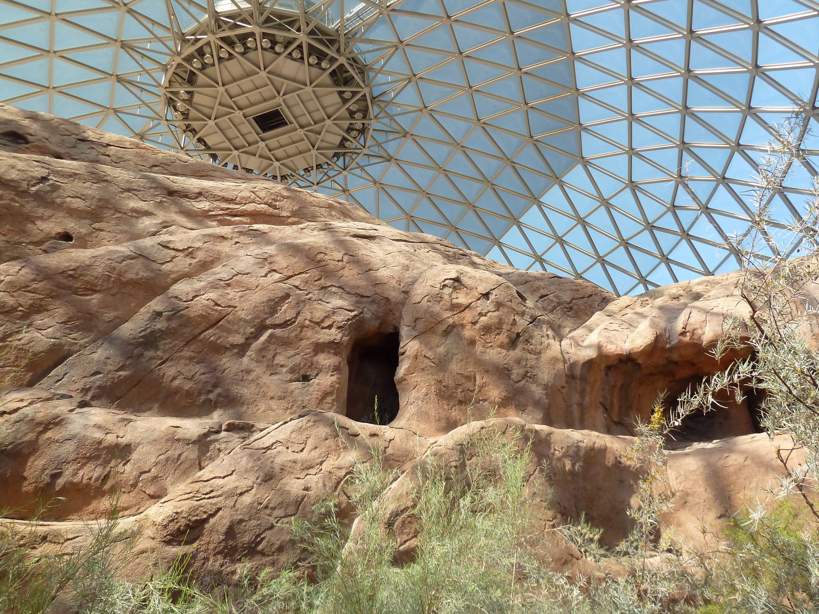Desert Dome - Yellow-Footed Rock Wallaby Exhibit