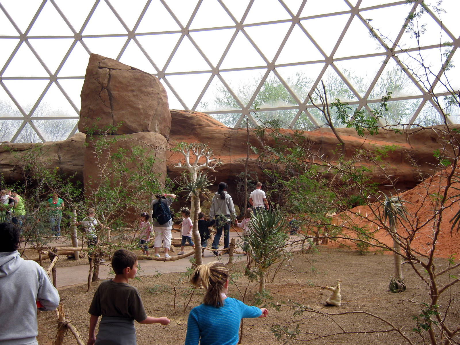 Desert Dome