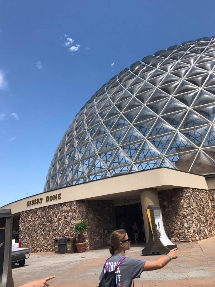 Desert Dome