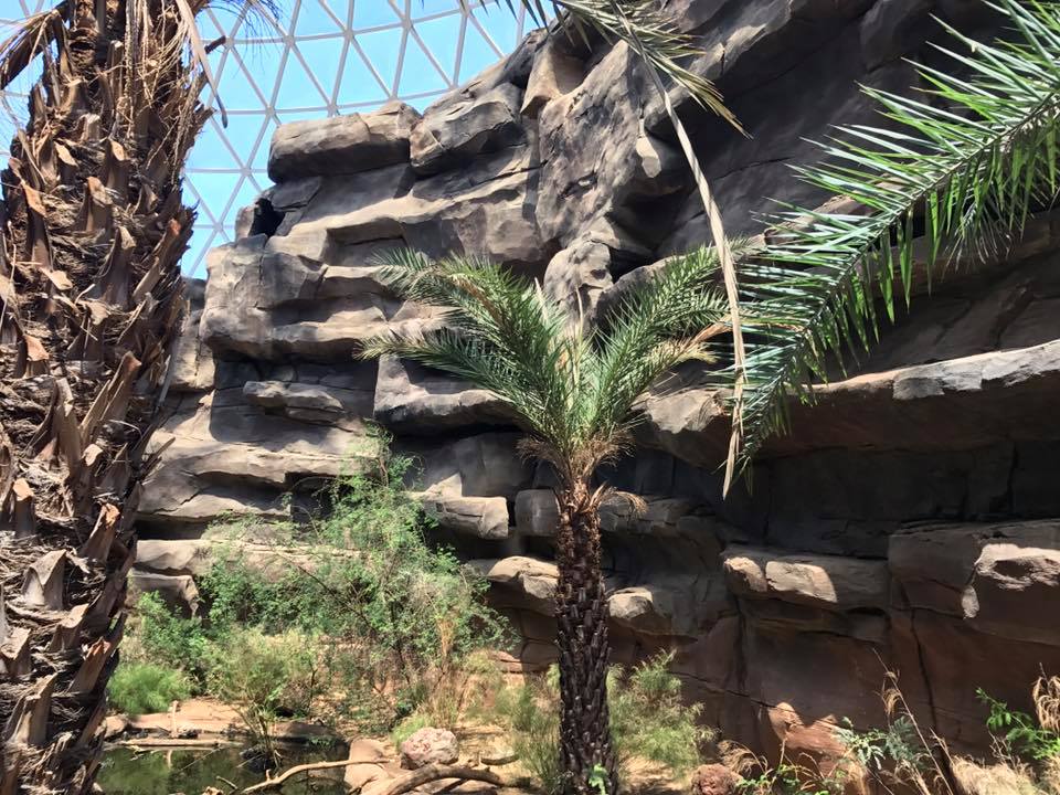 Desert Dome