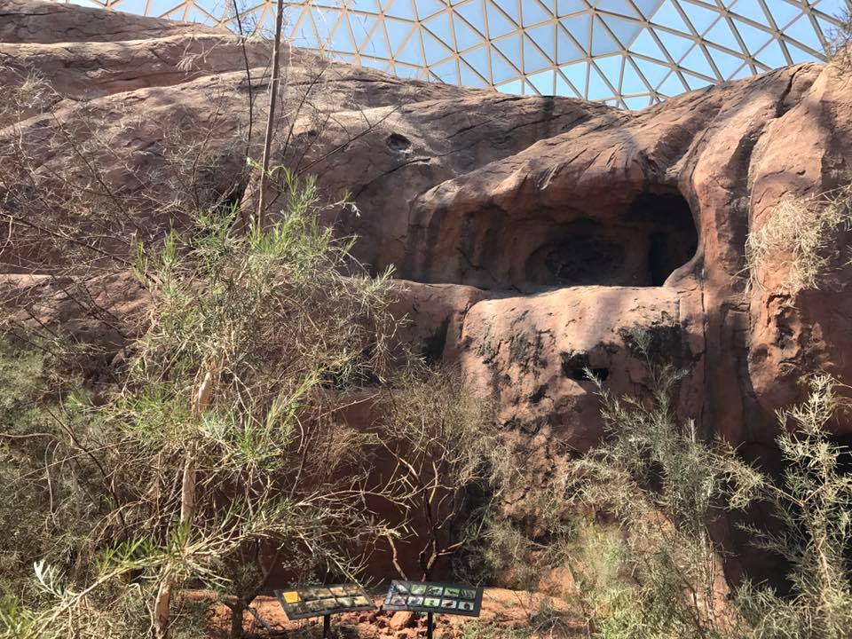 Desert Dome