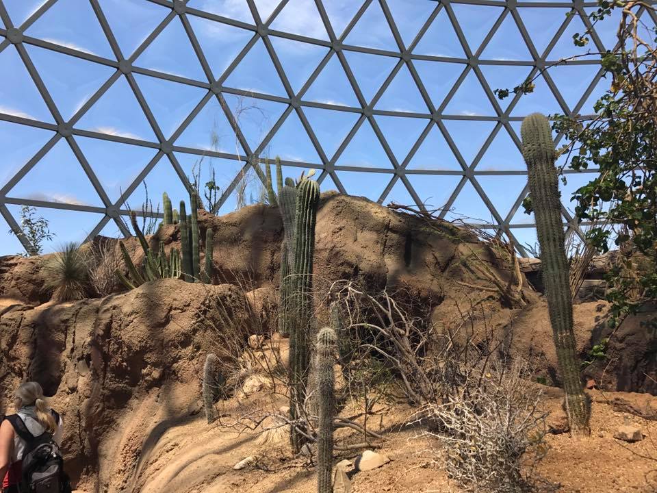 Desert Dome