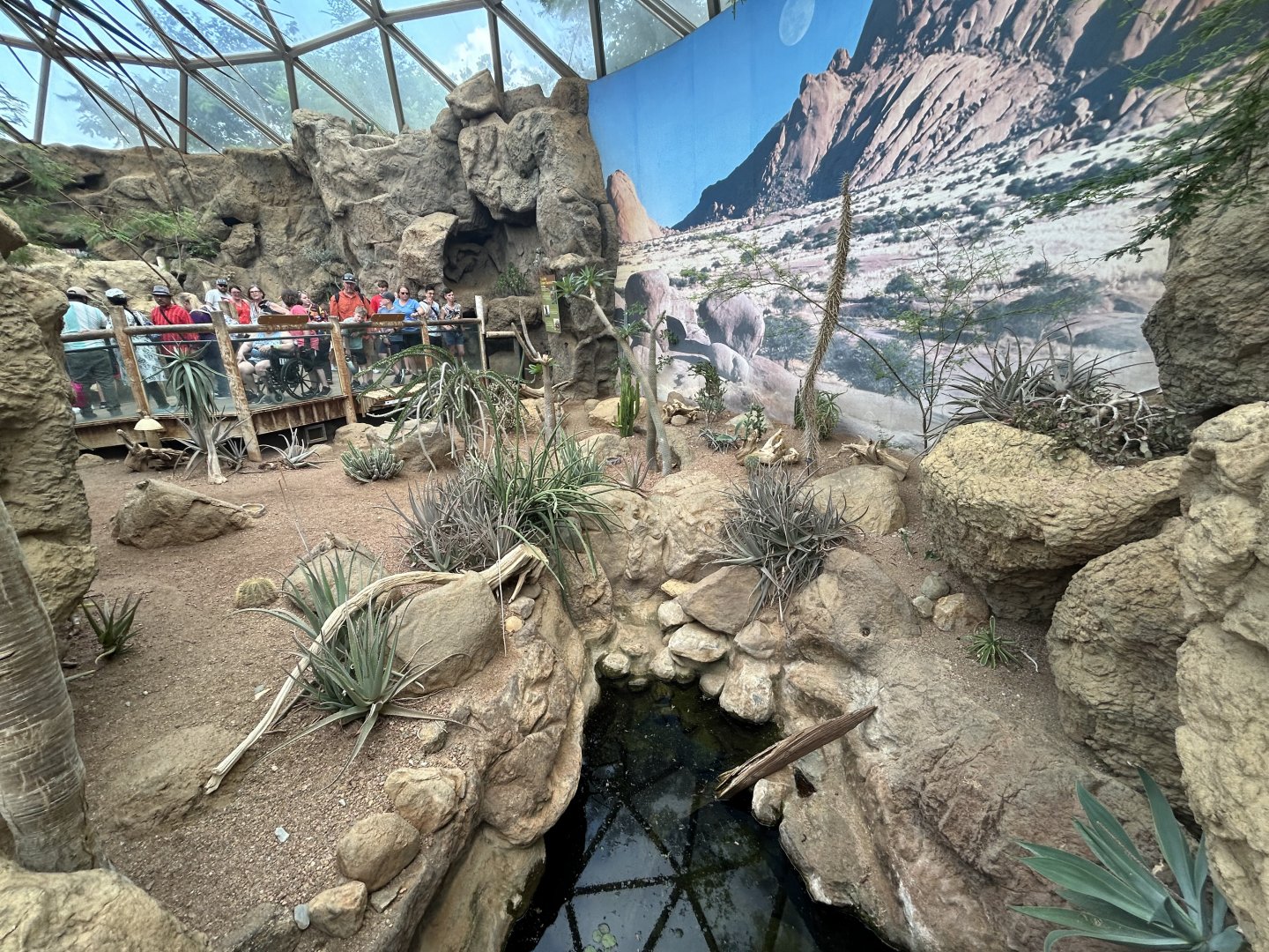 Desert Dome