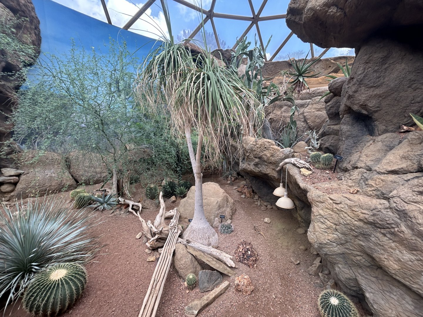 Desert Dome