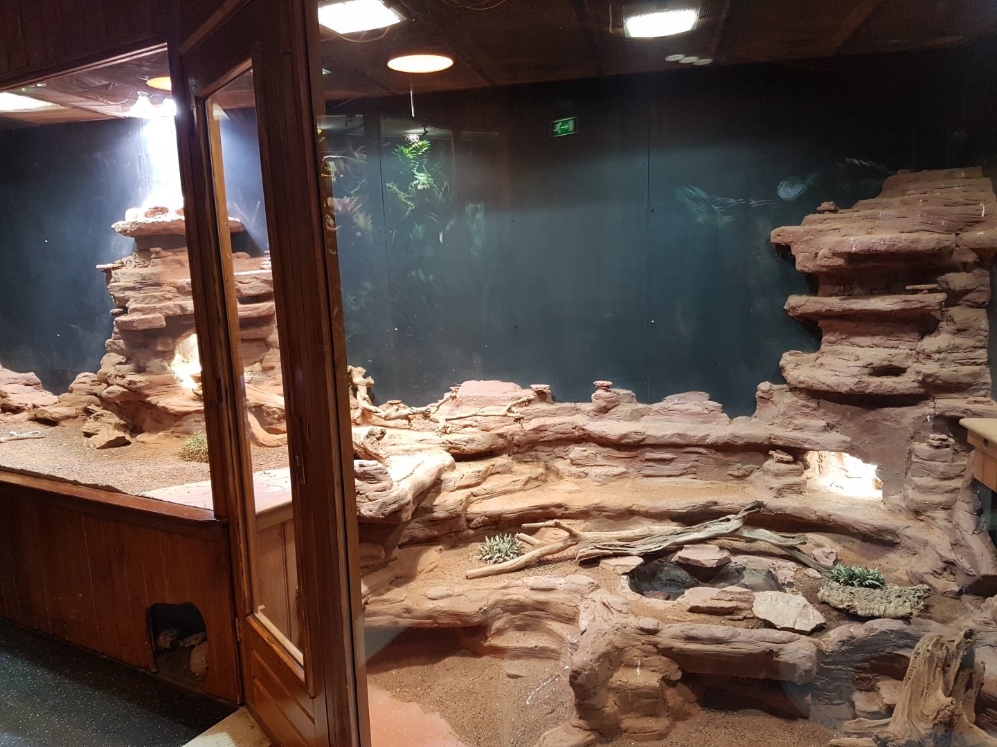 Desert-enclosure at 100.000 Animal House