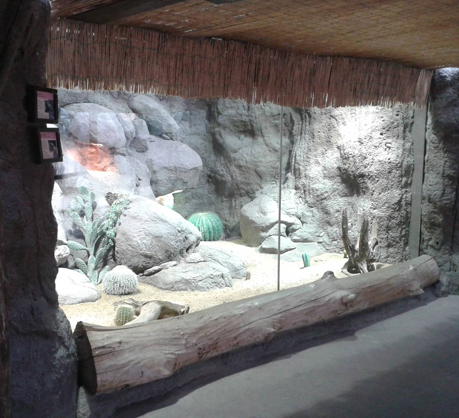 Desert enclosure in the Ocean