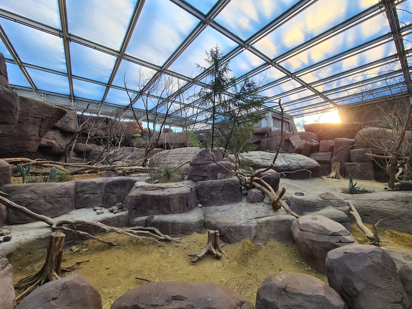 Desert - enclosure Pairie dogs, Porcupines, Peccaries