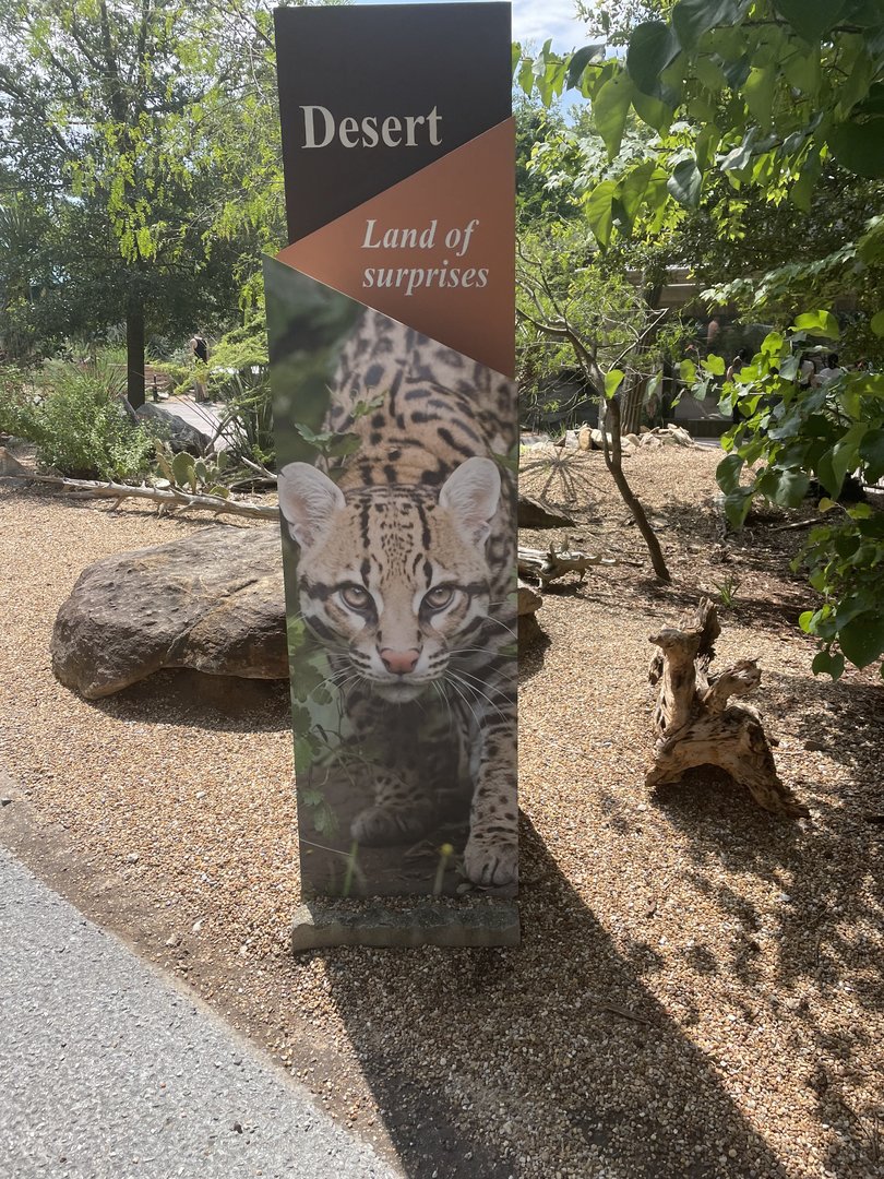 Desert Entrance Signage