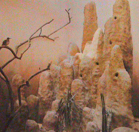 Desert Exhibit 1978
