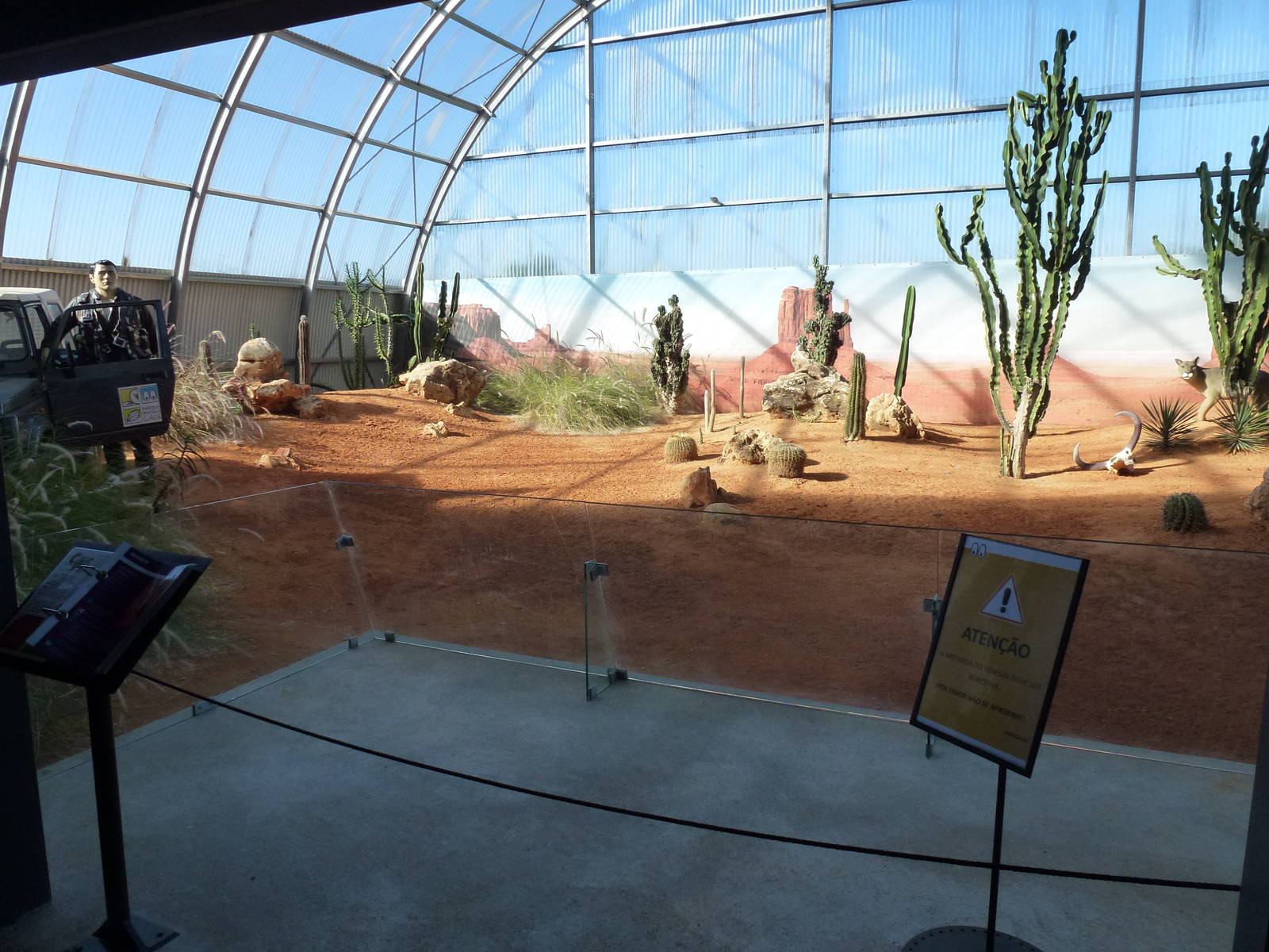 Desert exhibit - Biorama, November 2013.