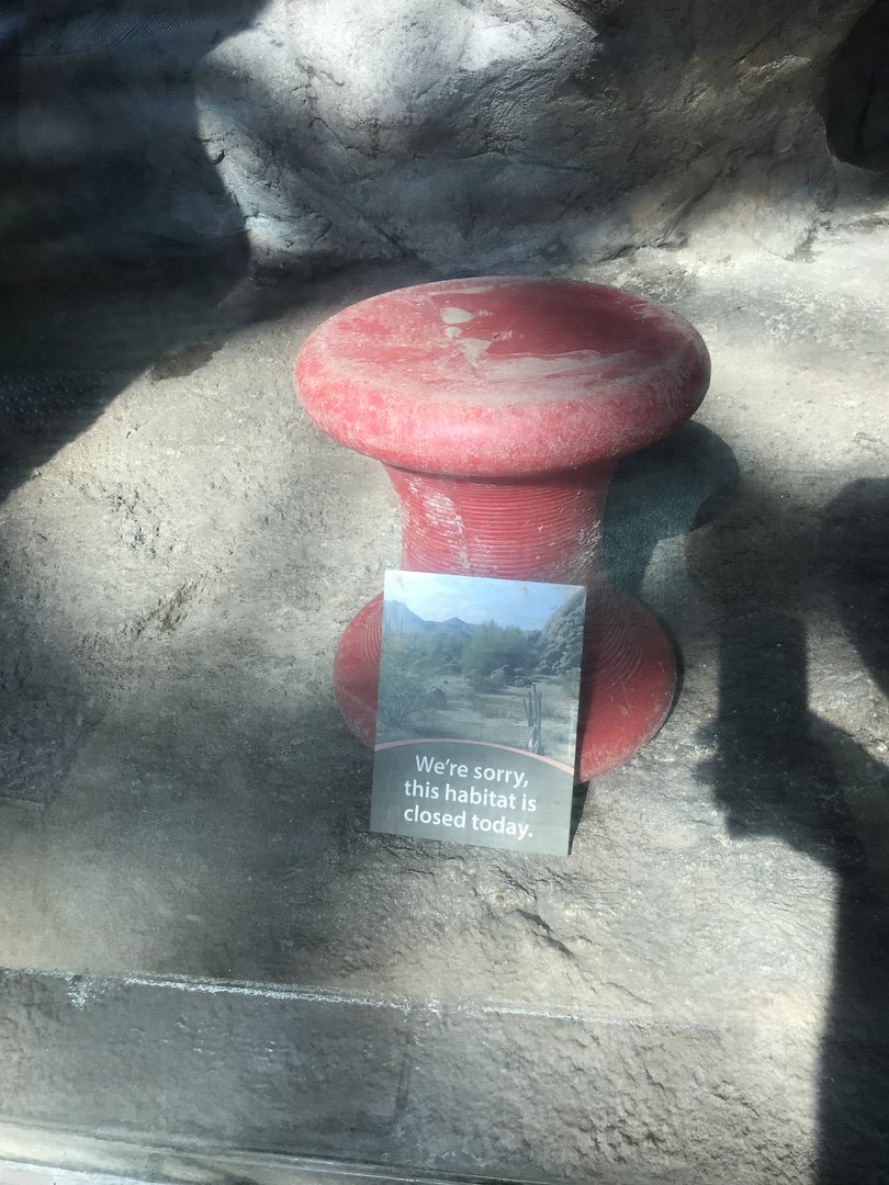 Desert: Exhibit Closed Sign in Cape Porcupine Habitat