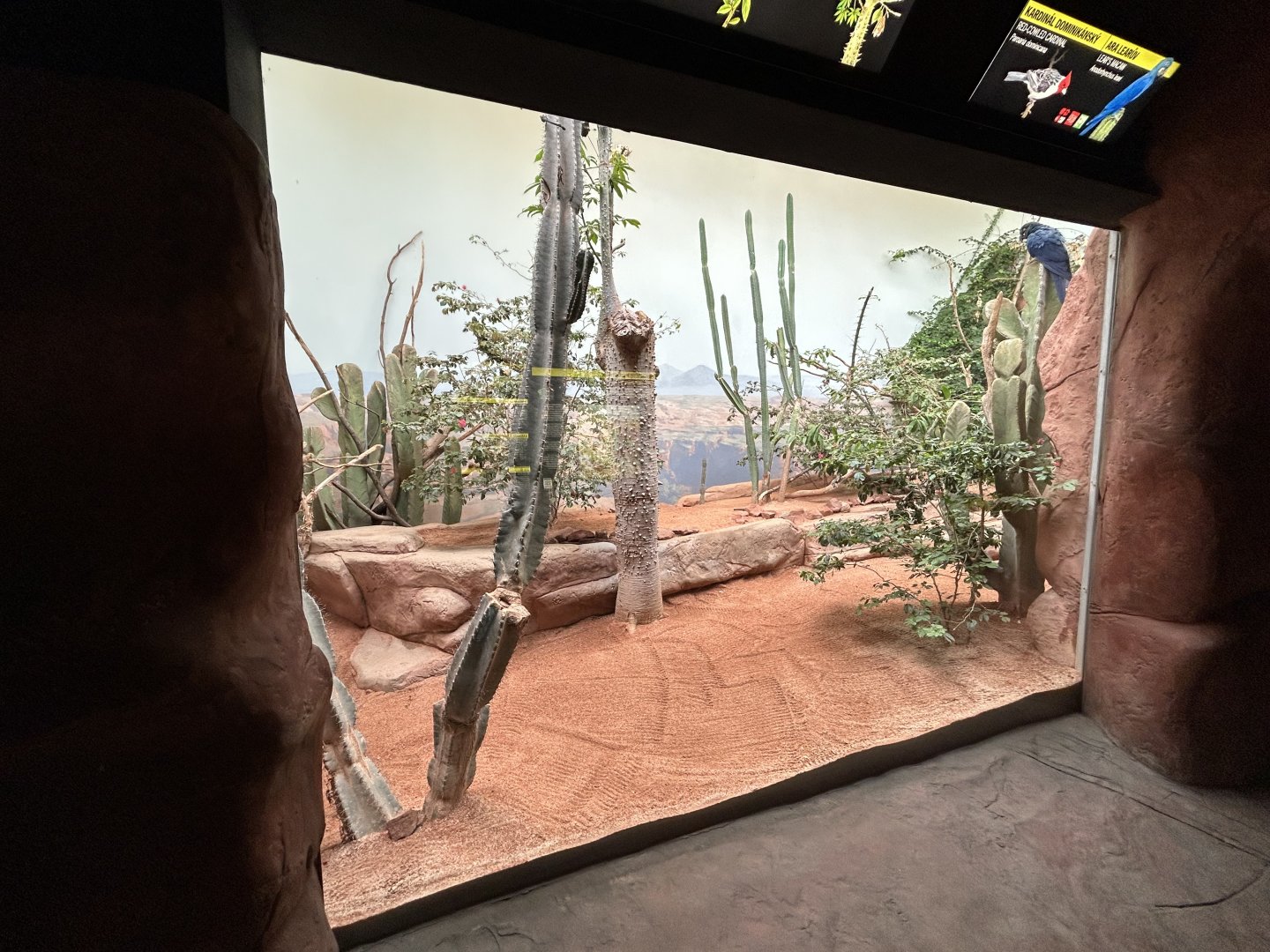 Desert Exhibit - Rakos House