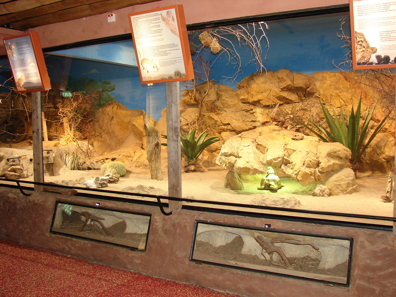 Desert Exhibit
