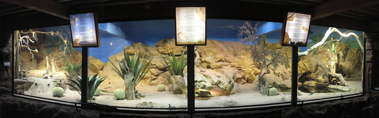 Desert exhibit