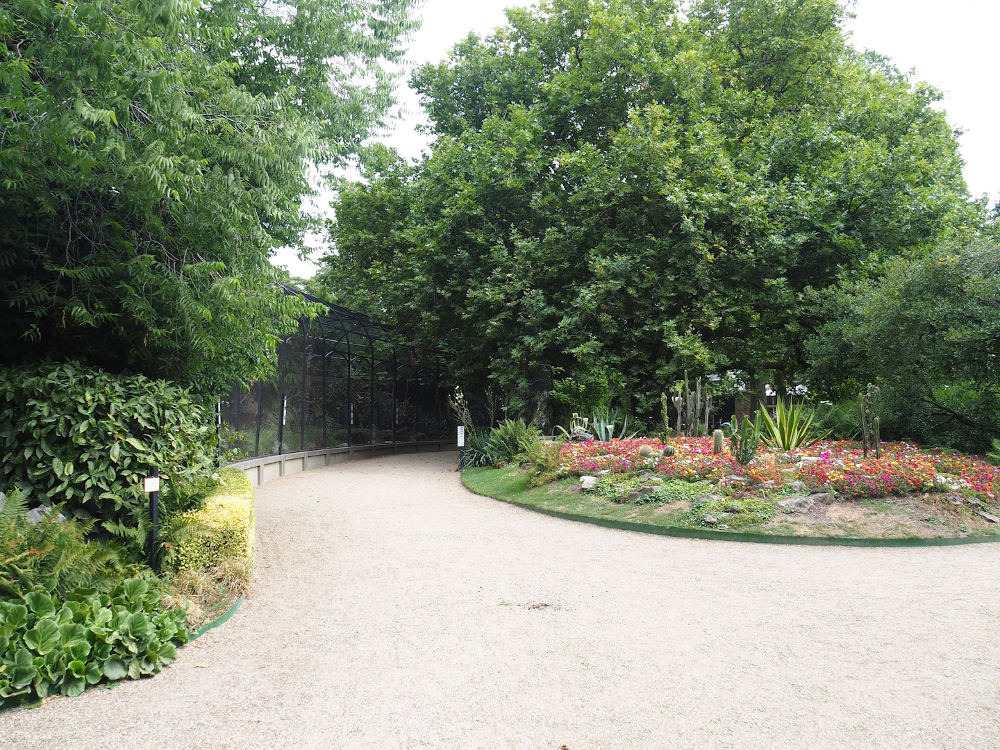 Desert garden area and block of mixed aviaries, 2023-07-22