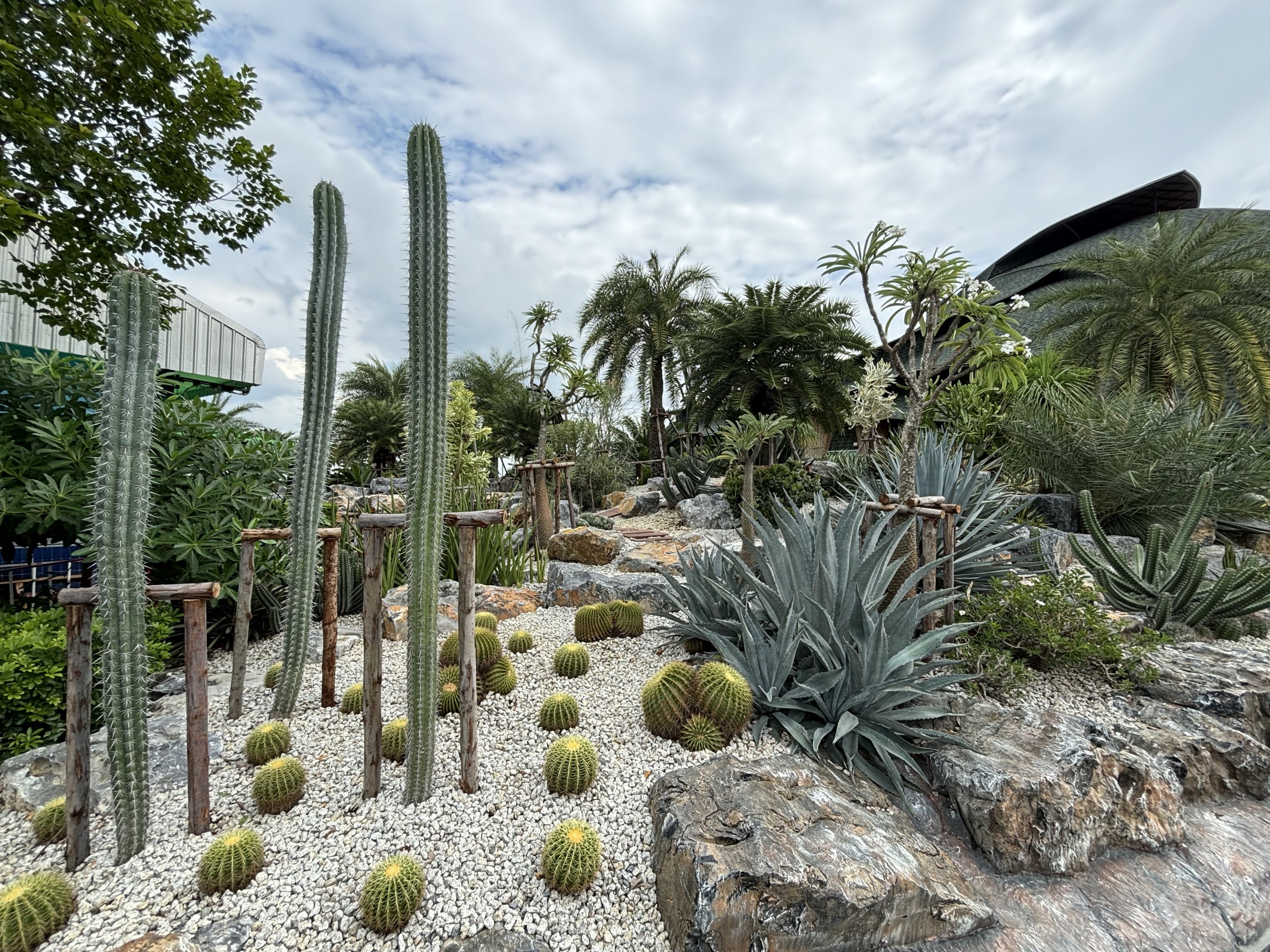 Desert Garden - Lion Park