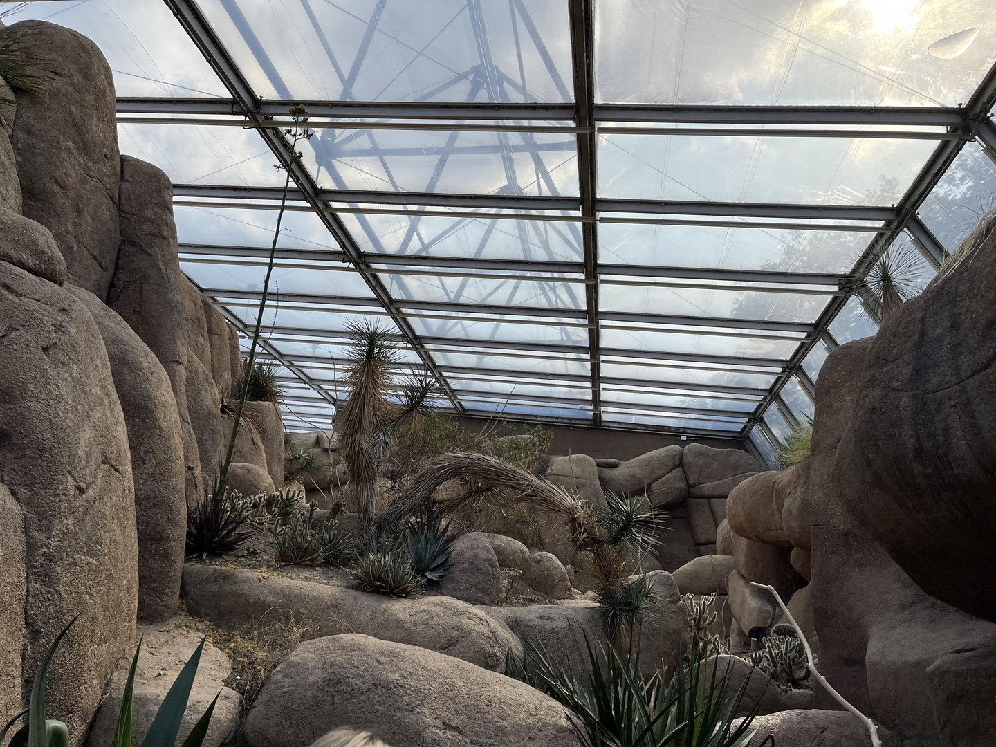 Desert- General view 6.7.23