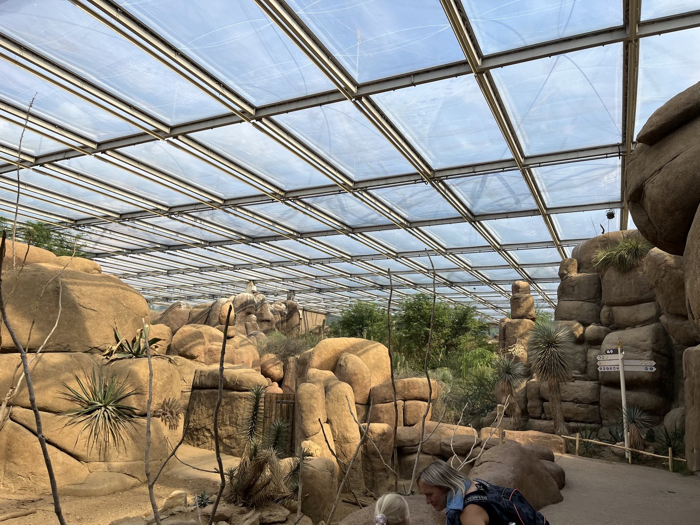 Desert- General view 6.7.23