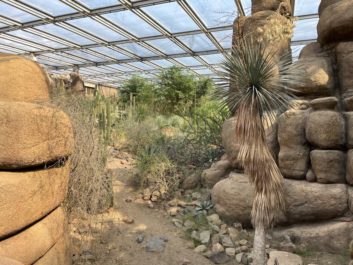 Desert- General view 6.7.23