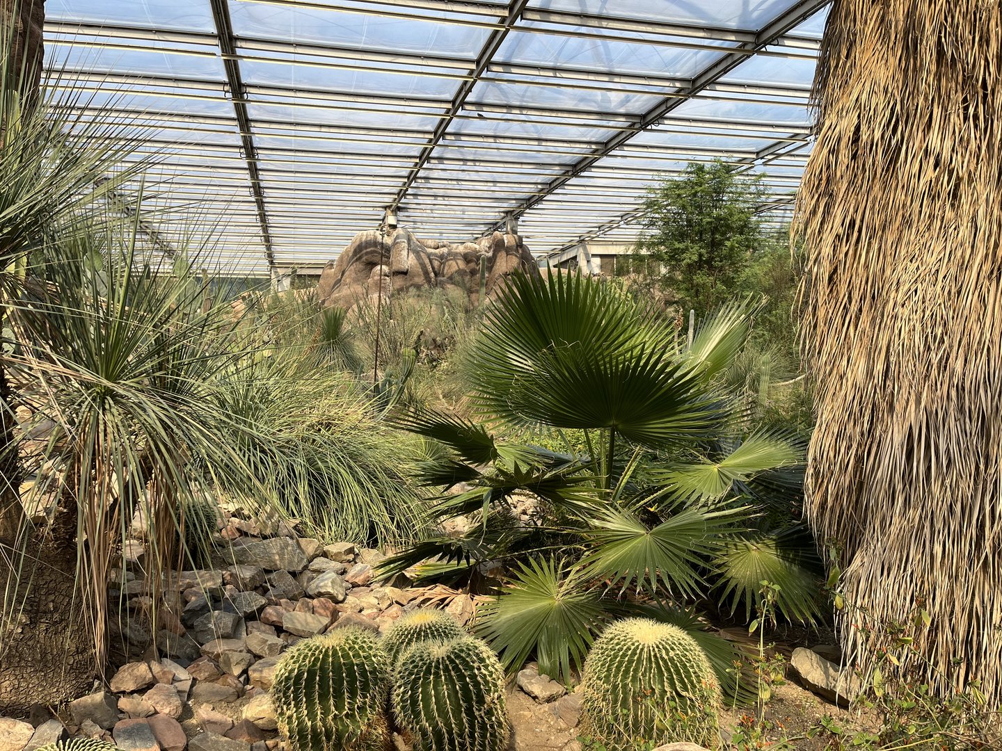 Desert- General view 6.7.23