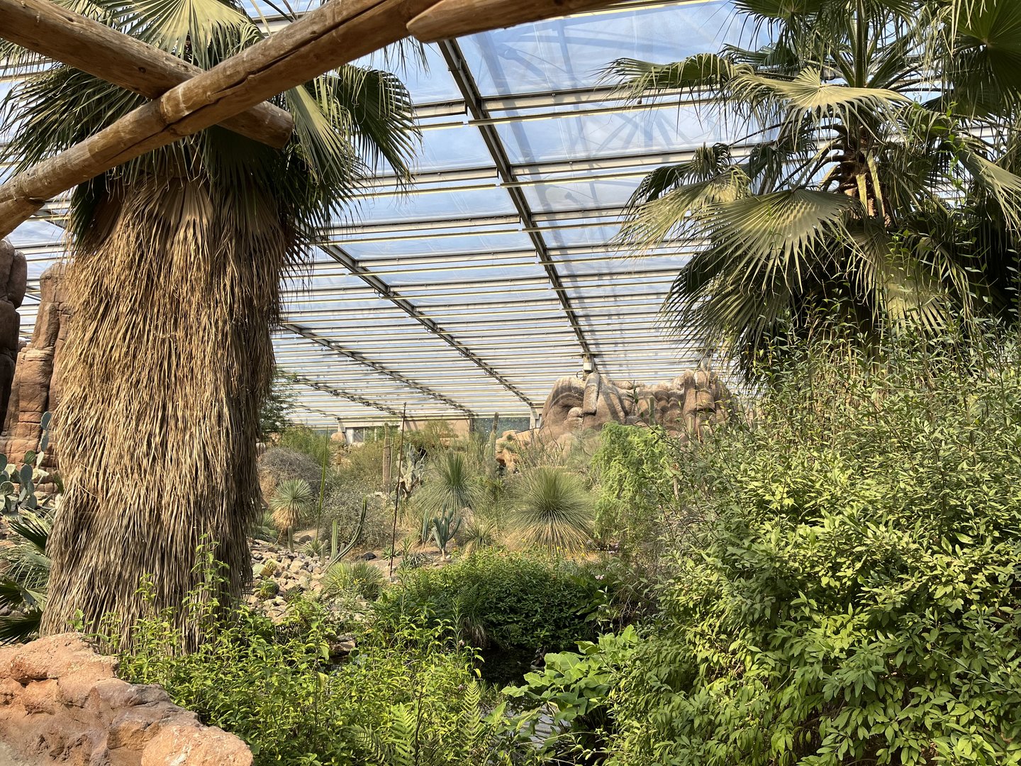 Desert- General view 6.7.23