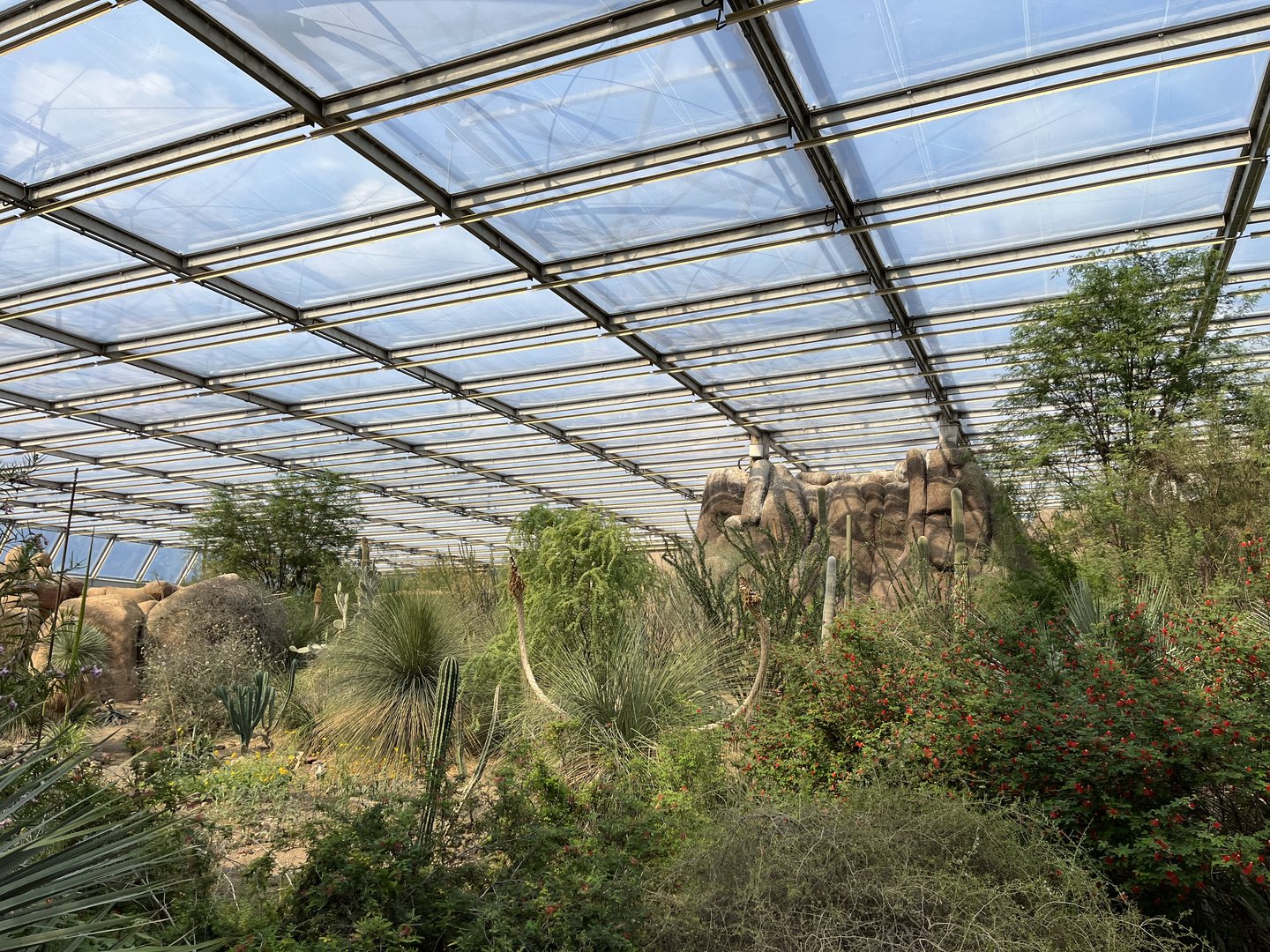 Desert- General view 6.7.23