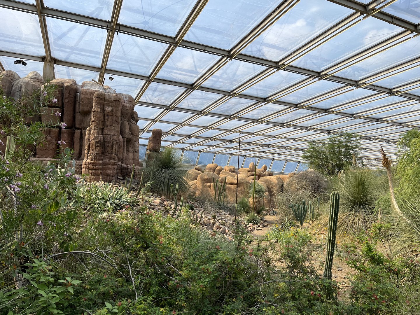 Desert- General view 6.7.23