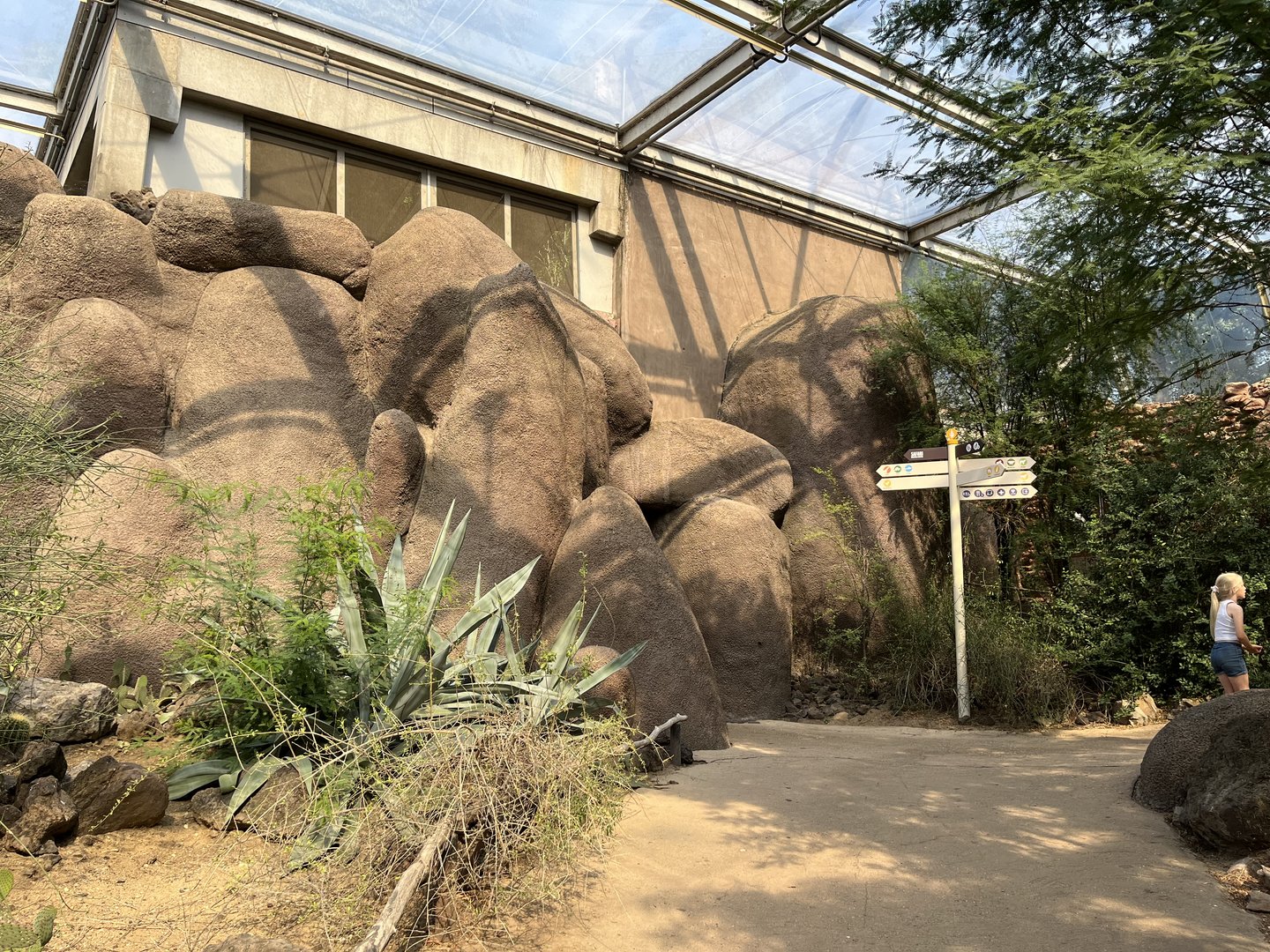 Desert- General view 6.7.23