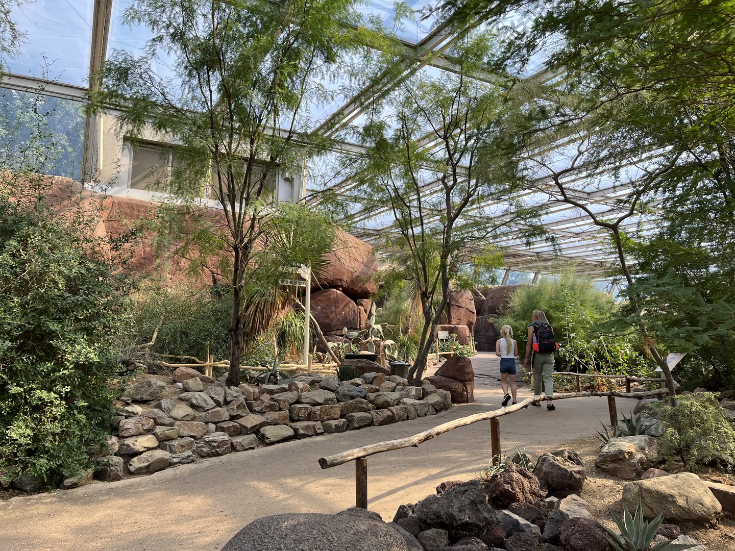 Desert- General view 6.7.23