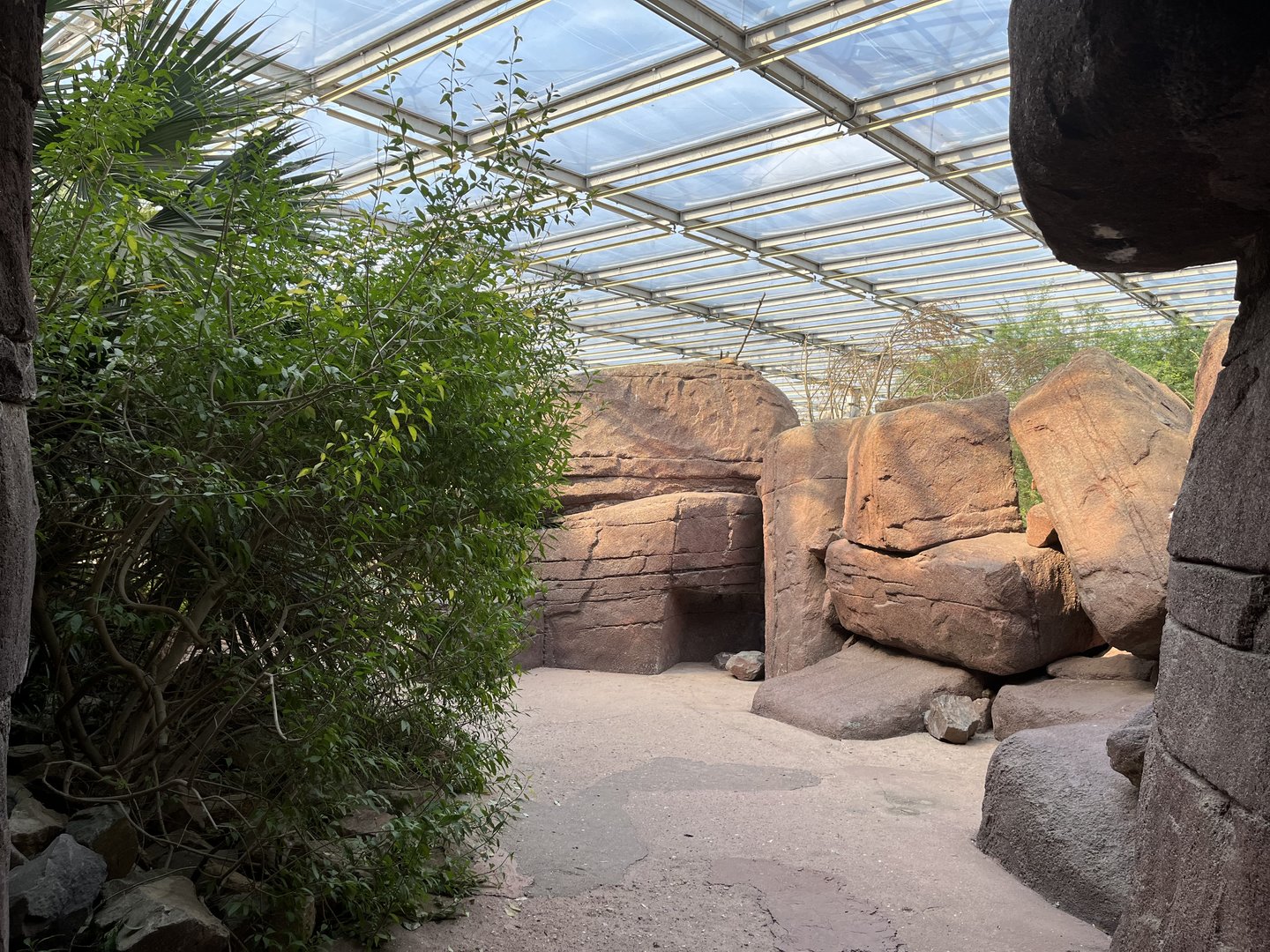 Desert- General view 6.7.23