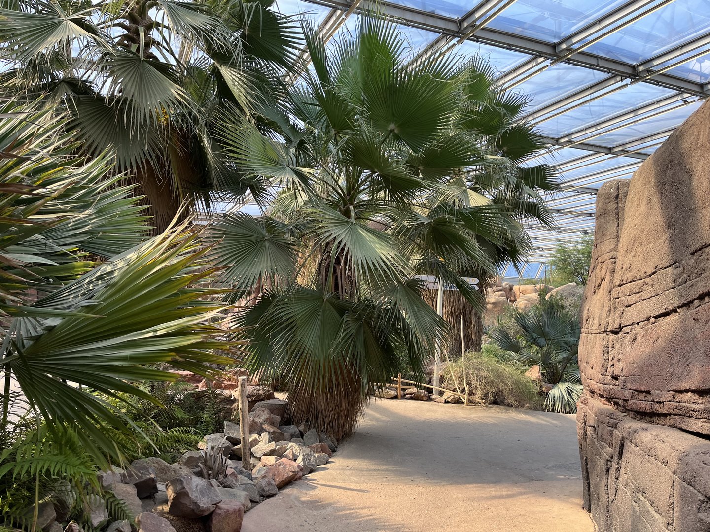 Desert- General view 6.7.23